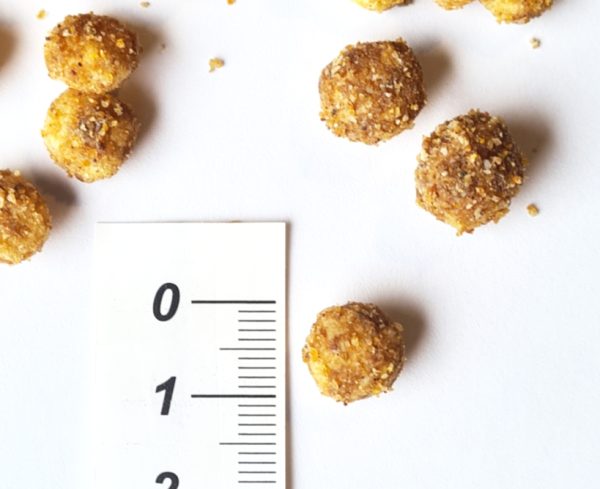 CaaDoog Dimensioni Cibo Secco per Cane e Gatto